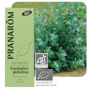Pranarôm - Huile essentielle d'Eucalyptus globulus BIO 10 ml