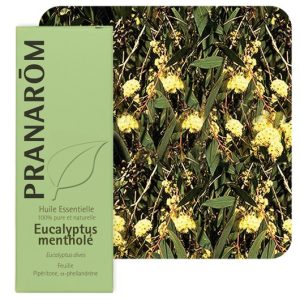 Pranarôm - Huile essentielle d'Eucalyptus mentholé 10 ml