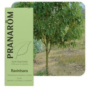 Pranarôm - Huile essentielle de Ravintsara 10 ml