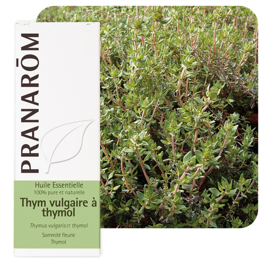Pranarôm - Huile essentielle de Thym à thymol 10 ml