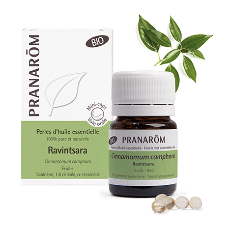 Pranarôm - Perles d'huile essentielle BIO - Ravintsara